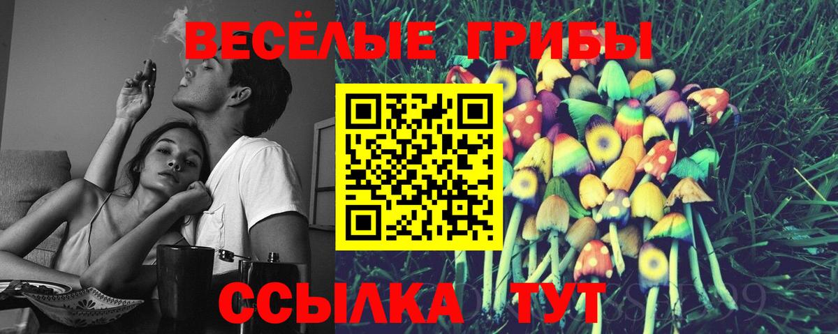 Сибай  Галлюциногенные грибы Cubensis  Псилоцибиновые грибы мухоморы  Вход с VPN 